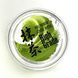 Matcha "High Grade" 50 g